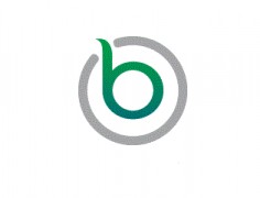 Bruised Onion - To Entertain & Inform